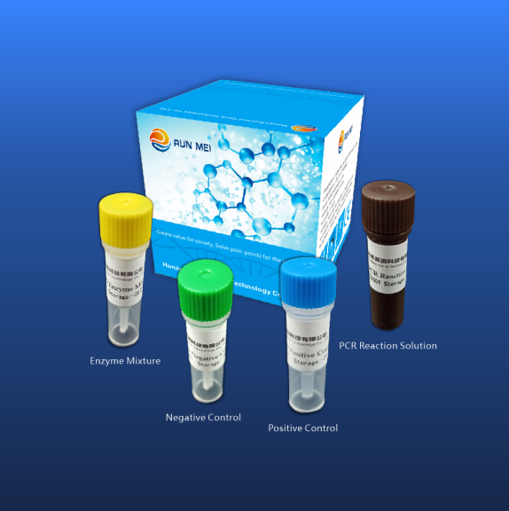 Novo kit de detecção de ácido nucleico coronavírus Covid-19 (método fluorescente de RT-PCR)